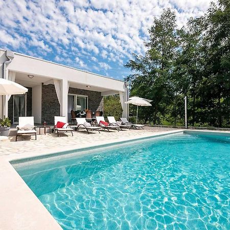 Villa Sofia Nedescina Екстер'єр фото